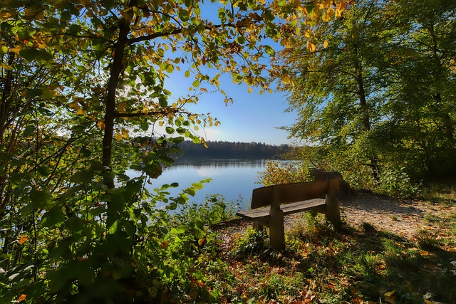 前國腳王萬鵬因尋釁滋事被判刑.